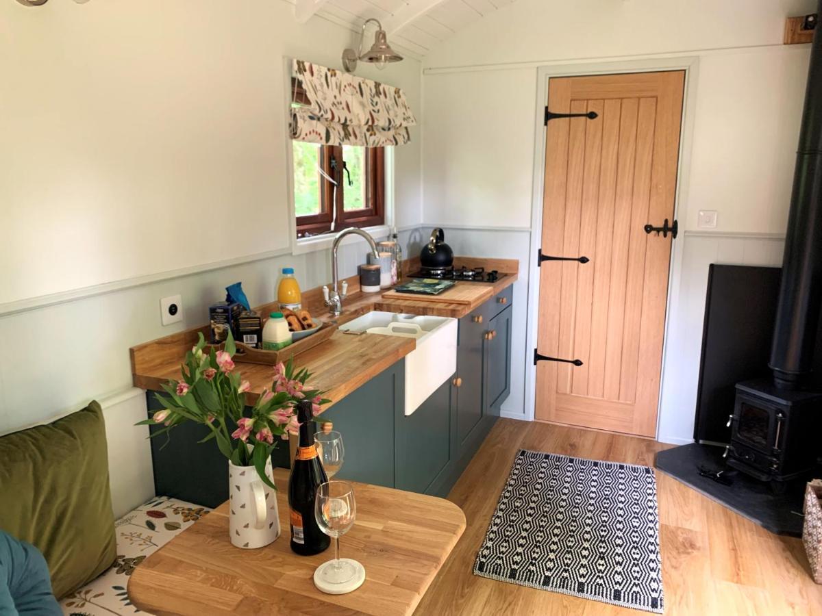 Lilliput - Delightful 1-Bedroom Shepherd'S Hut Holsworthy Exteriér fotografie