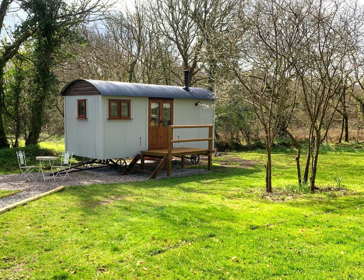 Lilliput - Delightful 1-Bedroom Shepherd'S Hut Holsworthy Exteriér fotografie